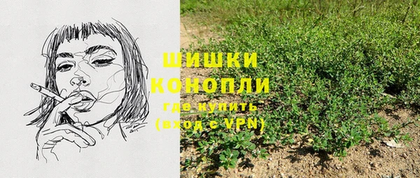 мет Щучье