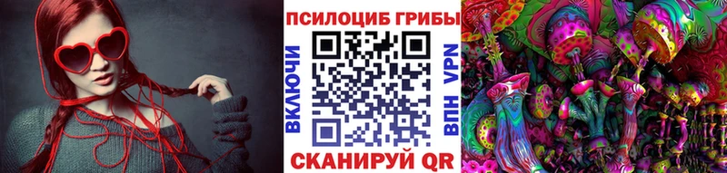 купить наркотики цена  Выборг  Псилоцибиновые грибы Psilocybe 