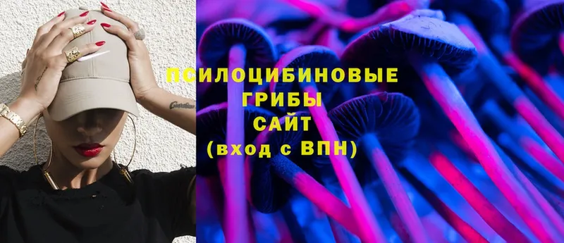 Галлюциногенные грибы Magic Shrooms  Выборг 