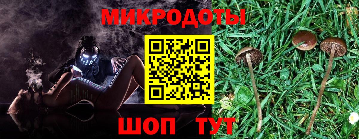 Галлюциногенные грибы мухоморы Выборг