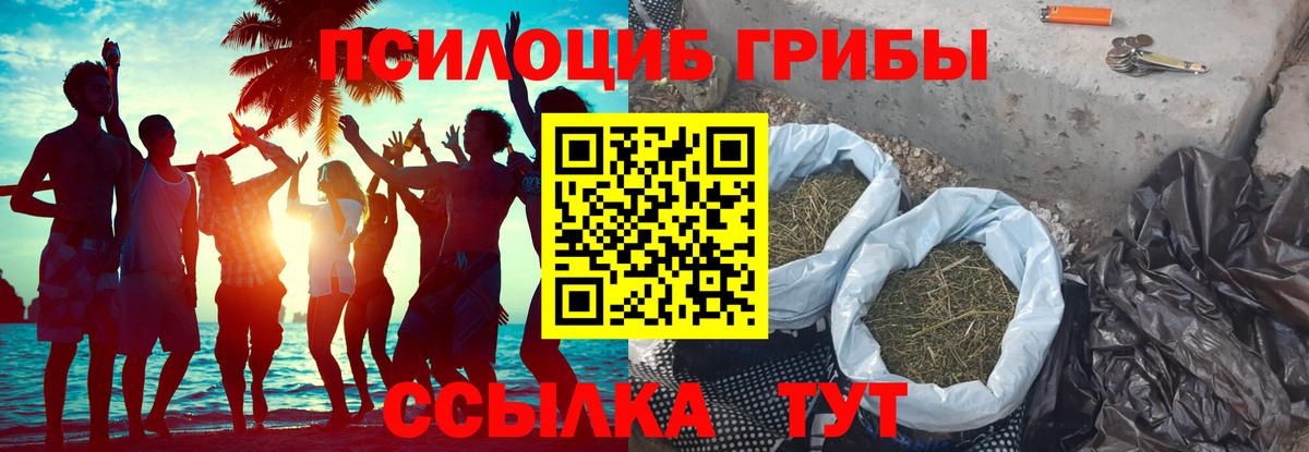 Псилоцибиновые грибы Magic Shrooms  Выборг  Галлюциногенные грибы Psilocybine cubensis 