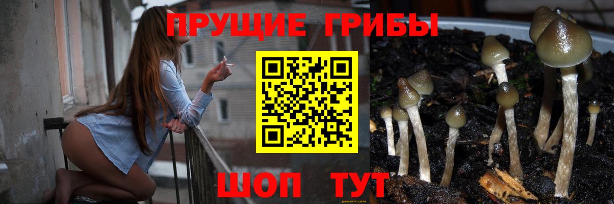 Галлюциногенные грибы Cubensis  Вход с VPN  Псилоцибиновые грибы мухоморы  Выборг 